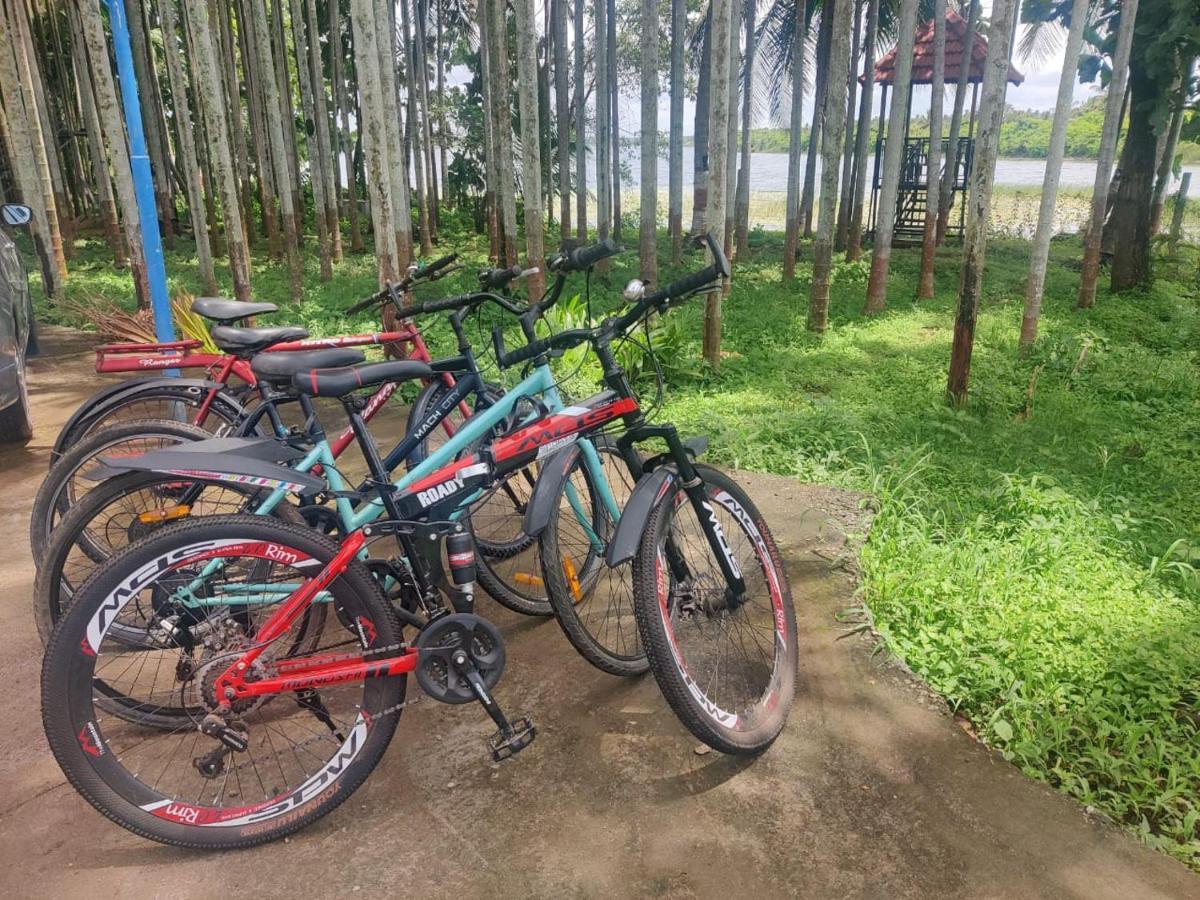 Cosmic Connect Trails Kabini Antharasanthe Luaran gambar