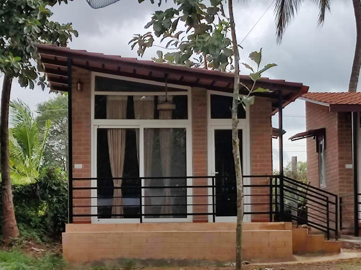 Cosmic Connect Trails Kabini Antharasanthe Luaran gambar
