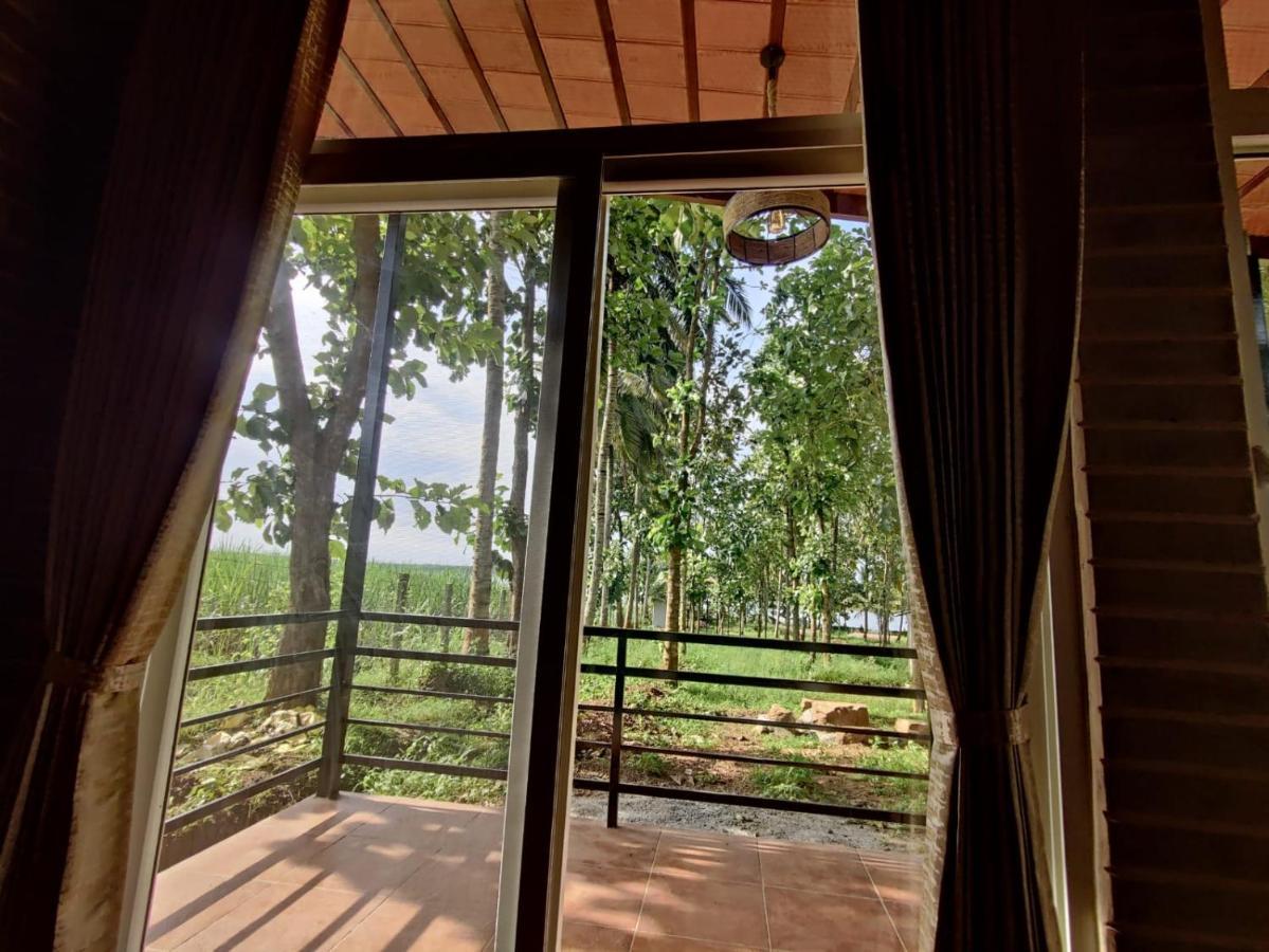 Cosmic Connect Trails Kabini Antharasanthe Luaran gambar