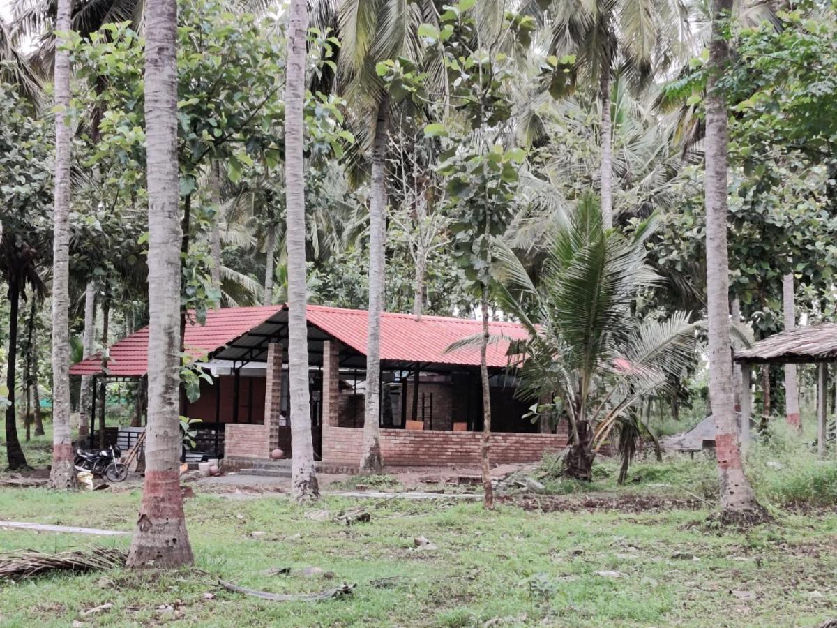 Cosmic Connect Trails Kabini Antharasanthe Luaran gambar