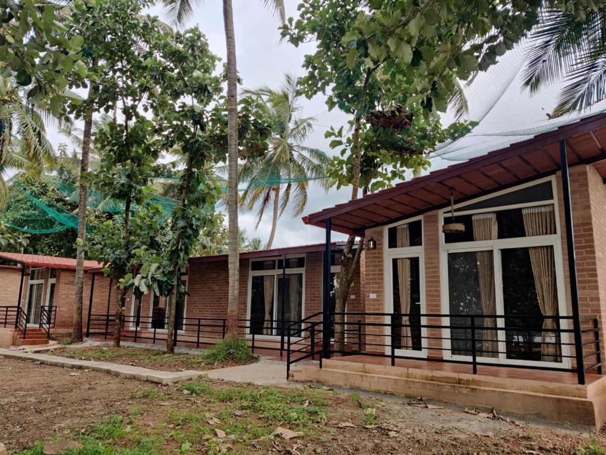 Cosmic Connect Trails Kabini Antharasanthe Luaran gambar