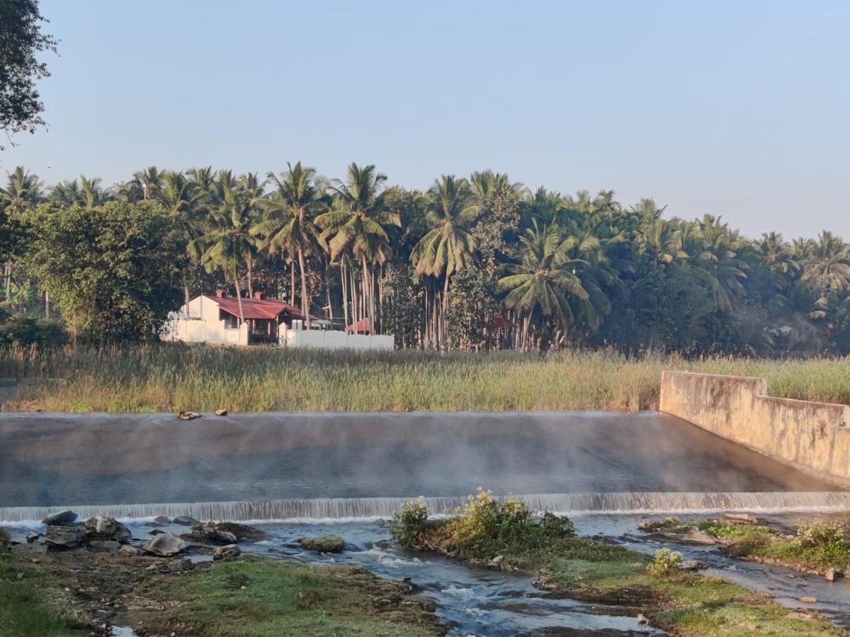 Cosmic Connect Trails Kabini Antharasanthe Luaran gambar
